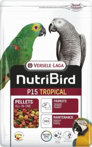 UK best bird treats